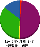 辻本電工 貸借対照表 2010年6月期