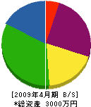 田島設備 貸借対照表 2009年4月期