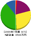 大津鉄工所 貸借対照表 2009年7月期