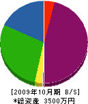 桜井設備 貸借対照表 2009年10月期
