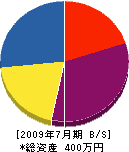 花花 貸借対照表 2009年7月期