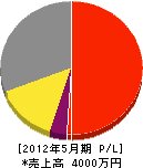 タナカビニール 損益計算書 2012年5月期