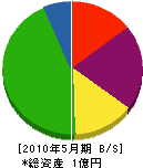 斉藤建設 貸借対照表 2010年5月期