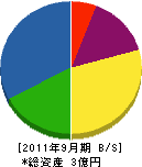 山田清掃 貸借対照表 2011年9月期