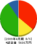宇佐美塗装 貸借対照表 2009年4月期