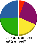 西大田グループ 貸借対照表 2011年6月期