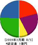 浦川電気商会 貸借対照表 2009年3月期