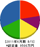 中島商事 貸借対照表 2011年6月期
