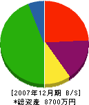 伊藤造園 貸借対照表 2007年12月期