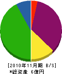 村越工業 貸借対照表 2010年11月期