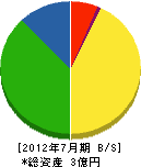 蛭田植物園 貸借対照表 2012年7月期