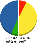 佐山建設 貸借対照表 2011年12月期