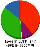 山田農園 貸借対照表 2009年12月期