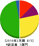 柳沢造園建設 貸借対照表 2010年2月期