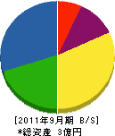 富士実業 貸借対照表 2011年9月期