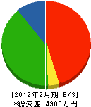 渡辺建工 貸借対照表 2012年2月期