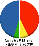 祇園電工 貸借対照表 2012年6月期