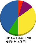 丹波ひかみ森林組合 貸借対照表 2011年3月期