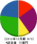 中日本建設 貸借対照表 2012年12月期