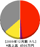藤田建設 損益計算書 2009年12月期