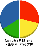 塚本工務店 貸借対照表 2010年5月期
