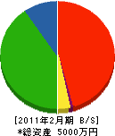 渡辺建工 貸借対照表 2011年2月期