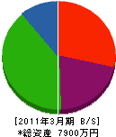 石川電気商会 貸借対照表 2011年3月期
