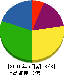 藤田工業 貸借対照表 2010年5月期