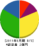 松元工業社 貸借対照表 2011年6月期