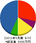 須藤電気 貸借対照表 2012年5月期