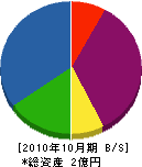 佐藤工業 貸借対照表 2010年10月期