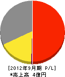 南日本ネットワーク 損益計算書 2012年9月期