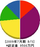 須賀工業 貸借対照表 2009年7月期