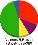 木村塗装工業 貸借対照表 2010年5月期