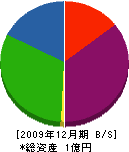 カネヨ 貸借対照表 2009年12月期