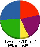 宮川電気 貸借対照表 2008年10月期