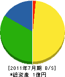 竹内組 貸借対照表 2011年7月期
