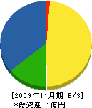 熊本地質工業 貸借対照表 2009年11月期