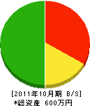 丹沢開発 貸借対照表 2011年10月期