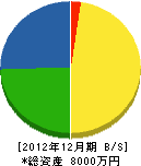 松川設備工業 貸借対照表 2012年12月期