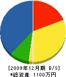 谷田土木水道 貸借対照表 2009年12月期