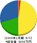 勝田工業 貸借対照表 2009年2月期