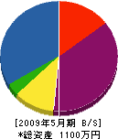 成田組 貸借対照表 2009年5月期