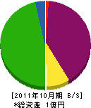 岩崎建材興業 貸借対照表 2011年10月期