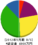 中濃電工社 貸借対照表 2012年5月期