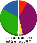 美間坂 貸借対照表 2012年5月期