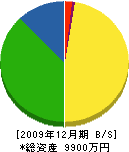 中澤組 貸借対照表 2009年12月期