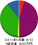 津崎建設 貸借対照表 2011年6月期