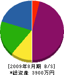 阪神電気商会 貸借対照表 2009年8月期
