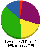 石井工務店 貸借対照表 2009年10月期